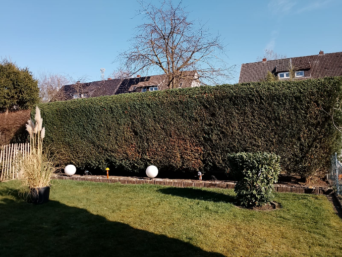 Gartenarbeiten – sauberes Ergebnis – Nachher